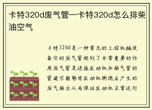 卡特320d废气管—卡特320d怎么排柴油空气